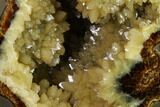 Calcite Crystal Filled Septarian Geode Egg - Utah #149940-1